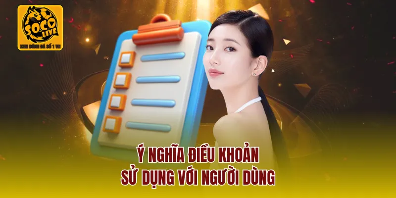 Ý nghĩa điều khoản sử dụng với người dùng